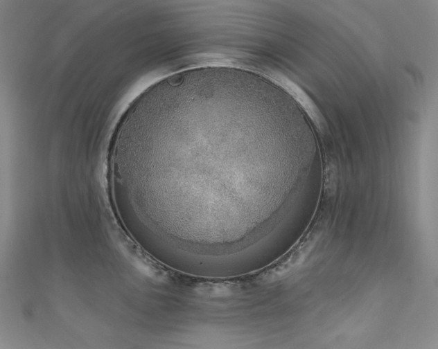 X0000111131051200906301206
