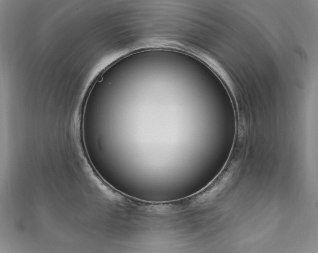 X0000111131053200906301206