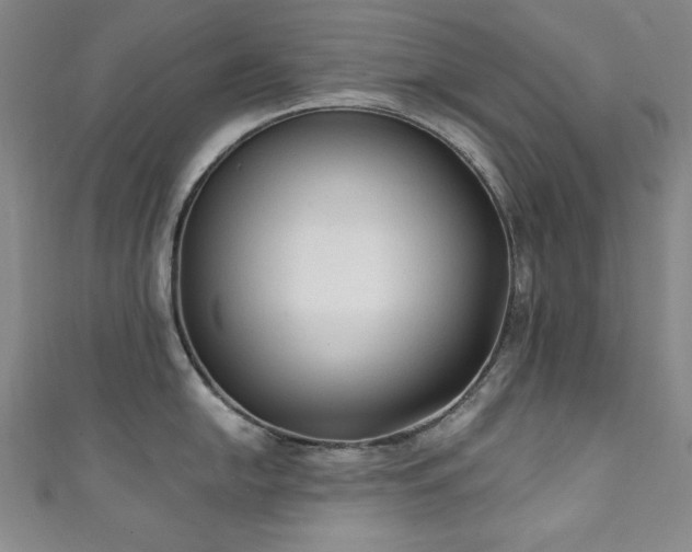 X0000111131054200906301206