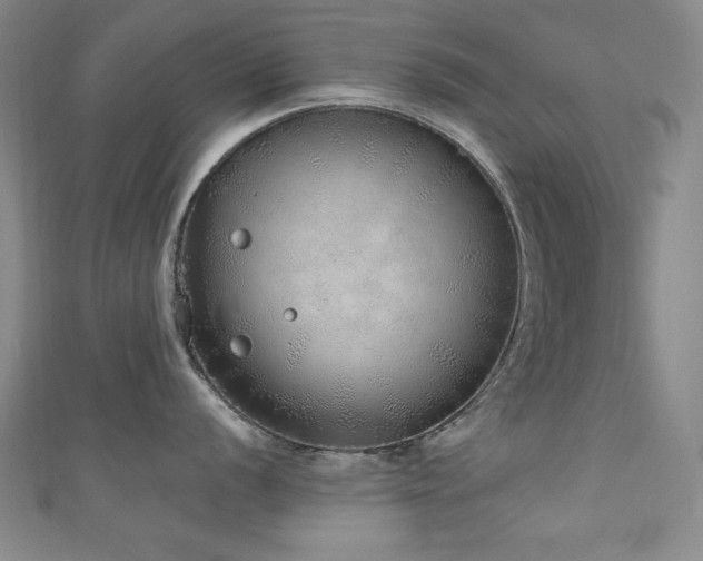 X0000111131056200906301206