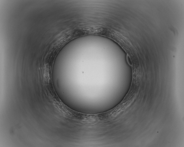 X0000111131058200906301205
