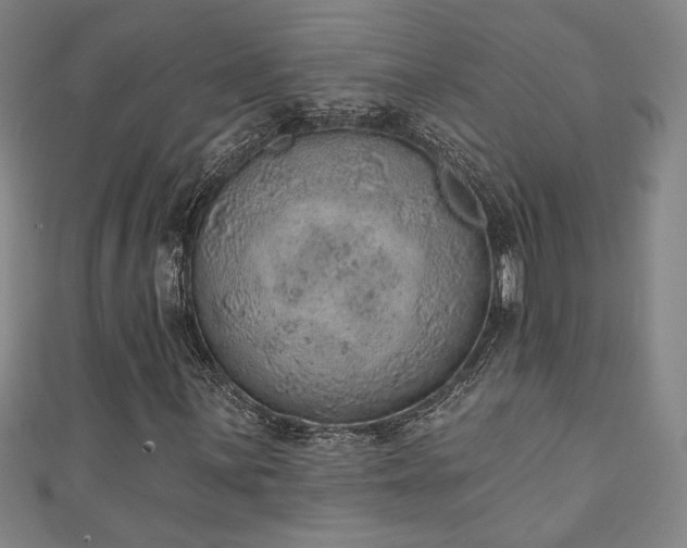 X0000111131059200906301205
