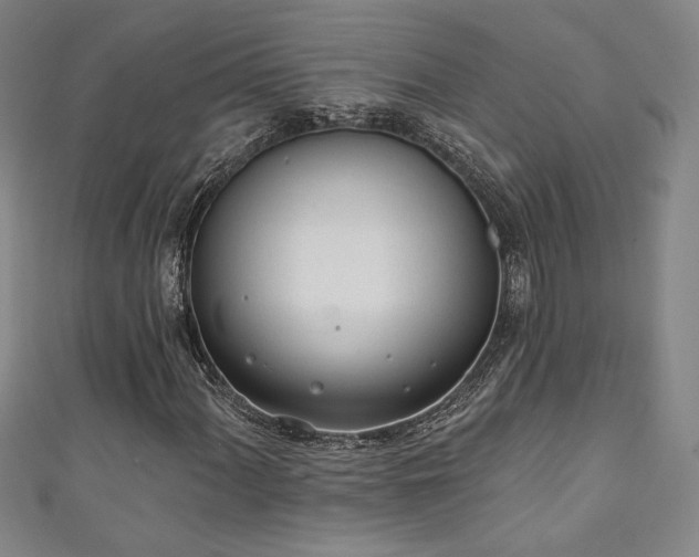 X0000111131060200906301205