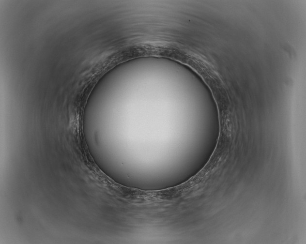 X0000111131061200906301205