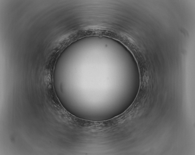 X0000111131062200906301205