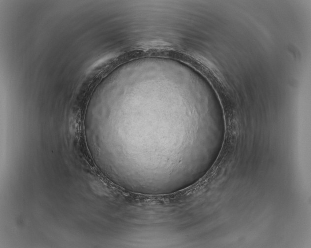 X0000111131063200906301205