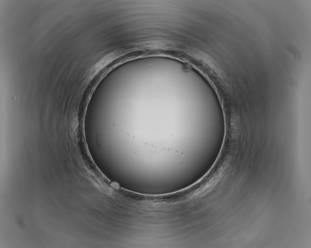 X0000111131065200906301205