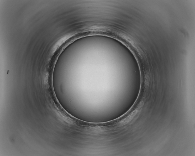 X0000111131066200906301205