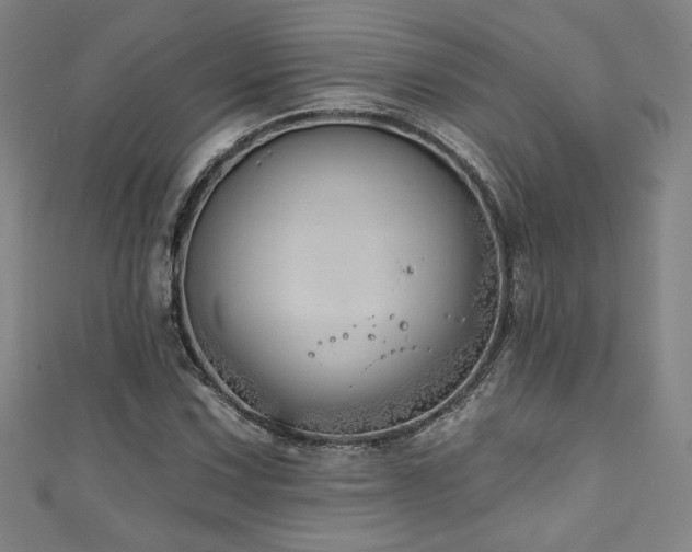 X0000111131067200906301205