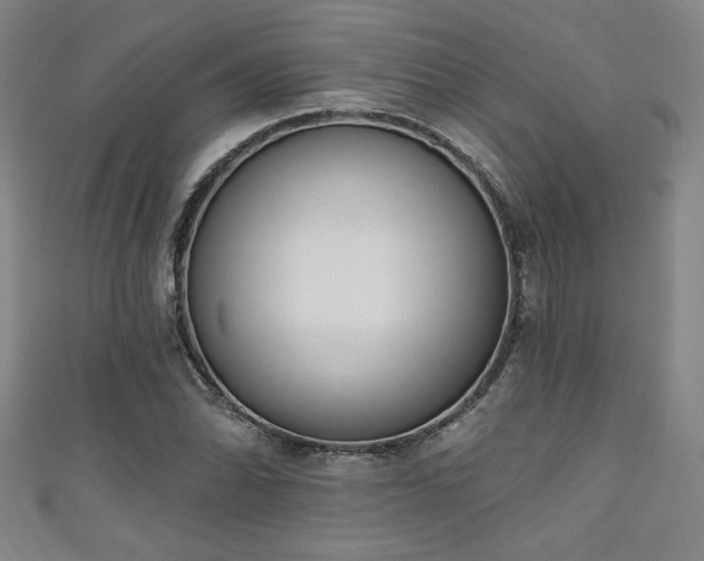 X0000111131070200906301205