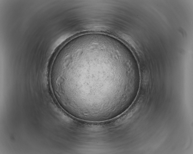 X0000111131071200906301205