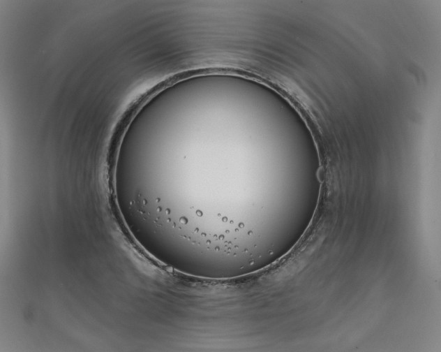 X0000111131072200906301205
