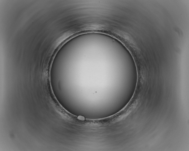 X0000111131073200906301205