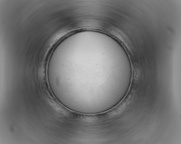 X0000111131074200906301205