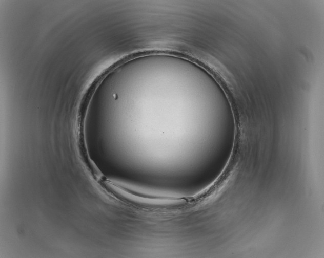 X0000111131077200906301205