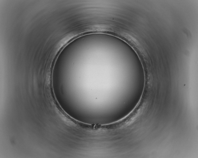 X0000111131081200906301205