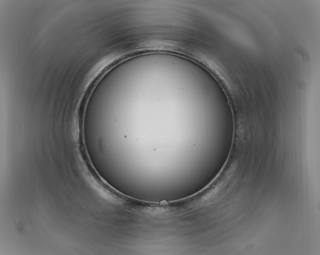 X0000111131082200906301205
