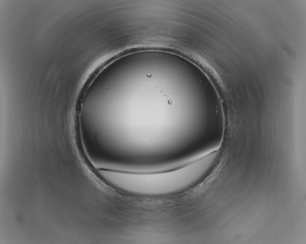 X0000111131085200906301205