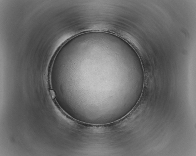 X0000111131087200906301205