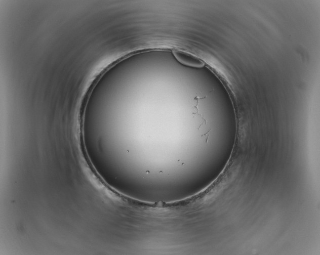 X0000111131088200906301205