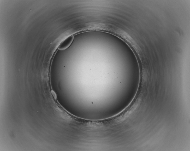 X0000111131089200906301205