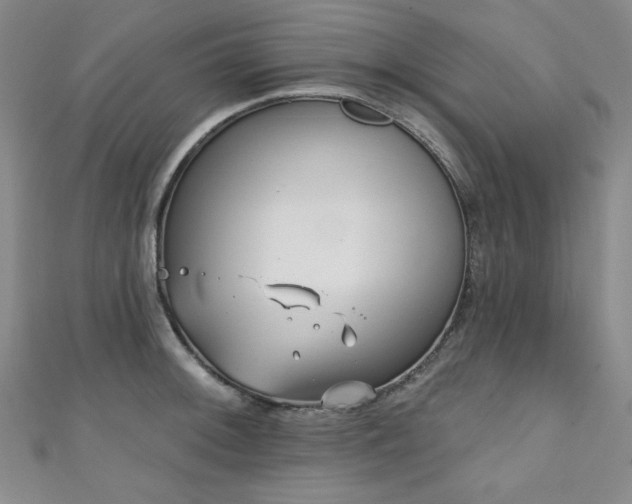 X0000111131092200906301205