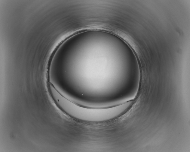 X0000111131093200906301205