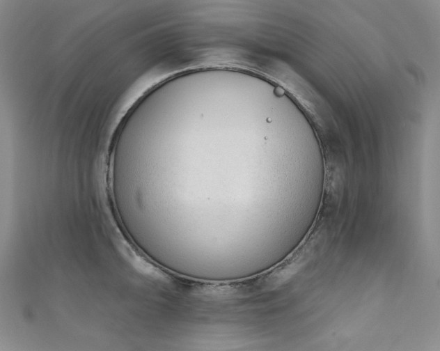 X0000111131094200906301205
