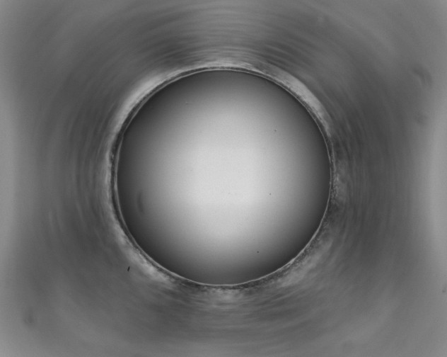 X0000111131096200906301205