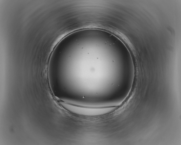 X0000111131097200906301205