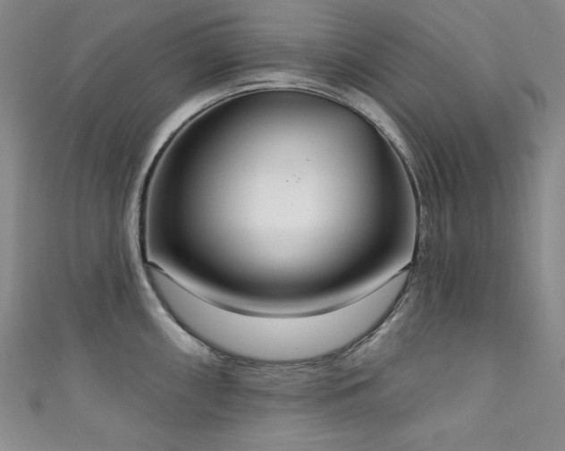 X0000111131098200906301205