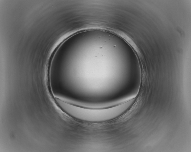 X0000111131101200906301205