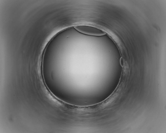 X0000111131102200906301205
