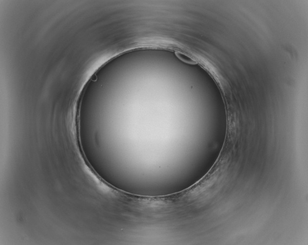 X0000111131103200906301205
