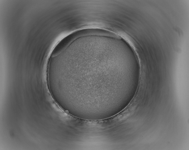 X0000111131104200906301205