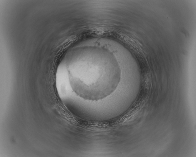 X0000111131105200906301204