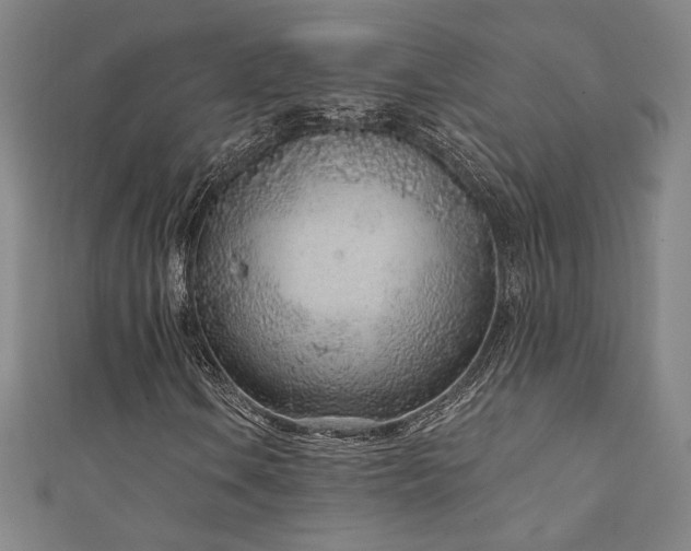 X0000111131106200906301204