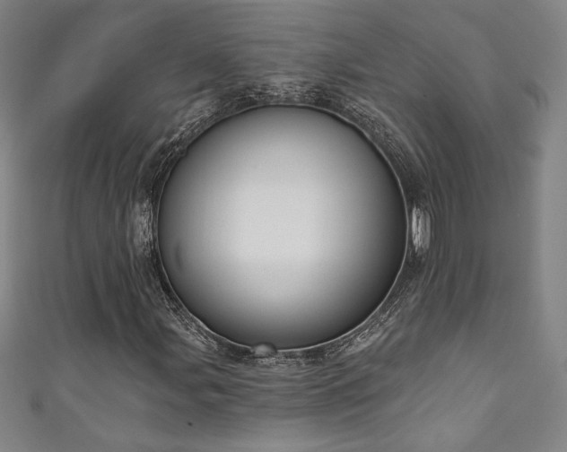 X0000111131107200906301204