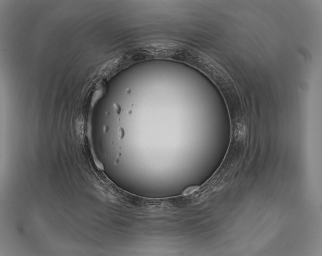 X0000111131108200906301204