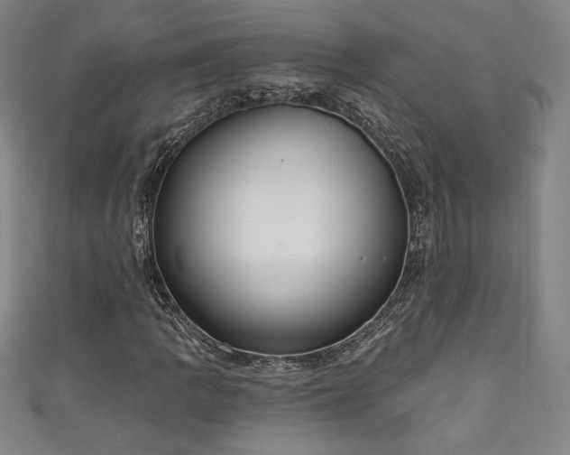 X0000111131109200906301204