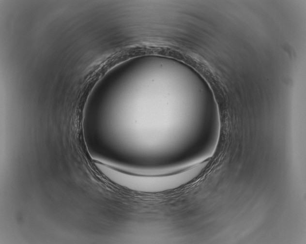 X0000111131110200906301204