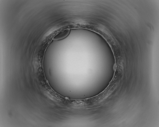 X0000111131112200906301204