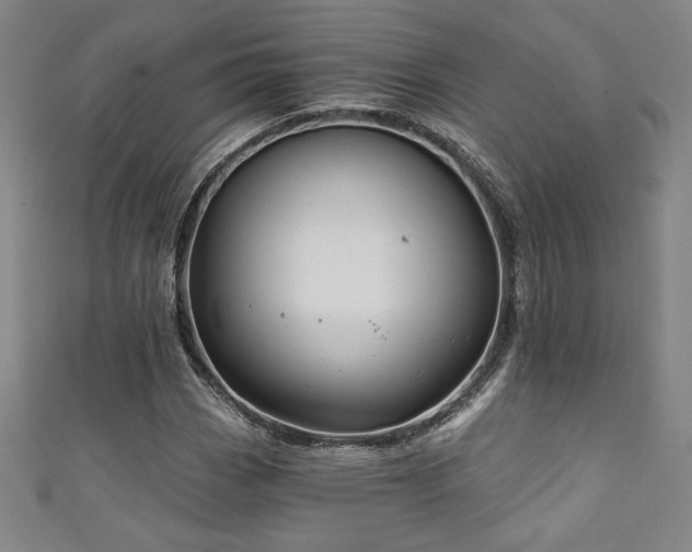 X0000111131113200906301204