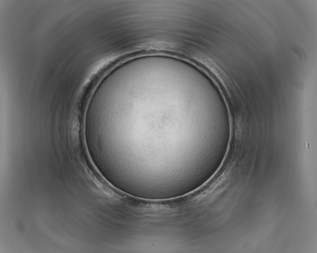 X0000111131115200906301204