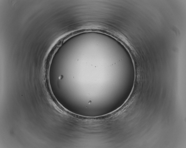 X0000111131116200906301204