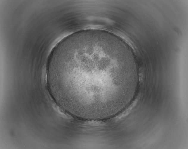 X0000111131117200906301204