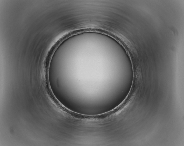 X0000111131118200906301204