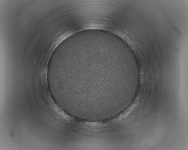 X0000111131121200906301204
