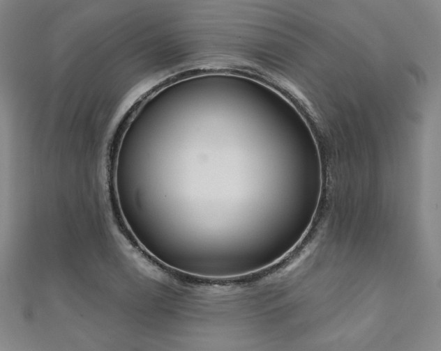 X0000111131122200906301204