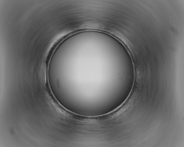 X0000111131123200906301204